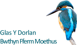 Holiday in Criccieth in our Luxury Cottage